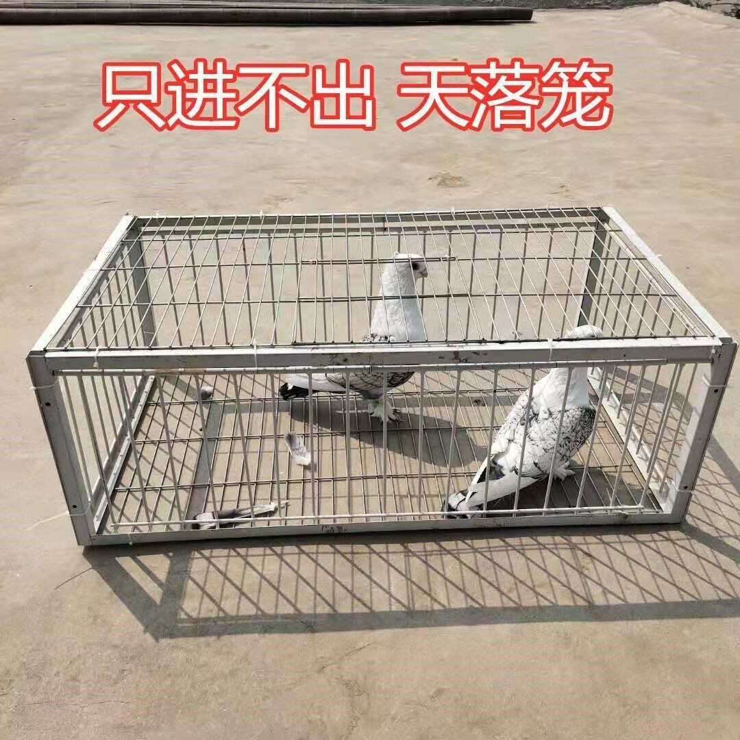 捕鸽神器抓鸽子笼全自动q收鸽笼子逮信赛鸽户外天落只进k不出防逃