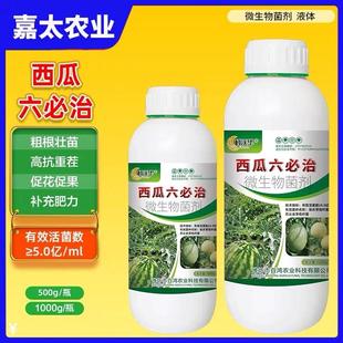 西瓜六必治万能杀菌剂叶面专用肥微生物菌剂甜瓜哈密瓜黄料