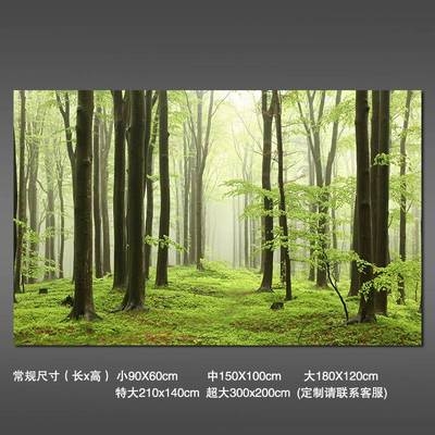 3d立体墙贴壁画贴纸壁纸自粘墙纸森林风光美景客厅卧室电视背景墙