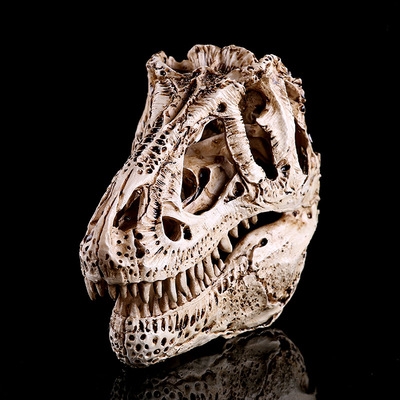 单脊龙头骨树脂恐龙头骨骷髅头d动物研究教学创意居家摆件个性摆