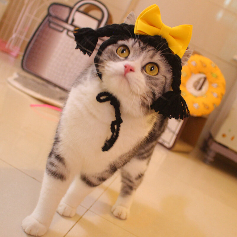 宠物针织帽假发头套蝴蝶结双马尾猫咪辫子帽美短英短橘猫头饰优惠券