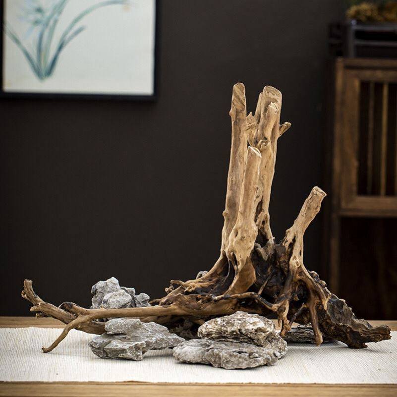 树桩沉木精品鱼缸造景老树桩造型杜鹃木生命之树莫斯树草缸