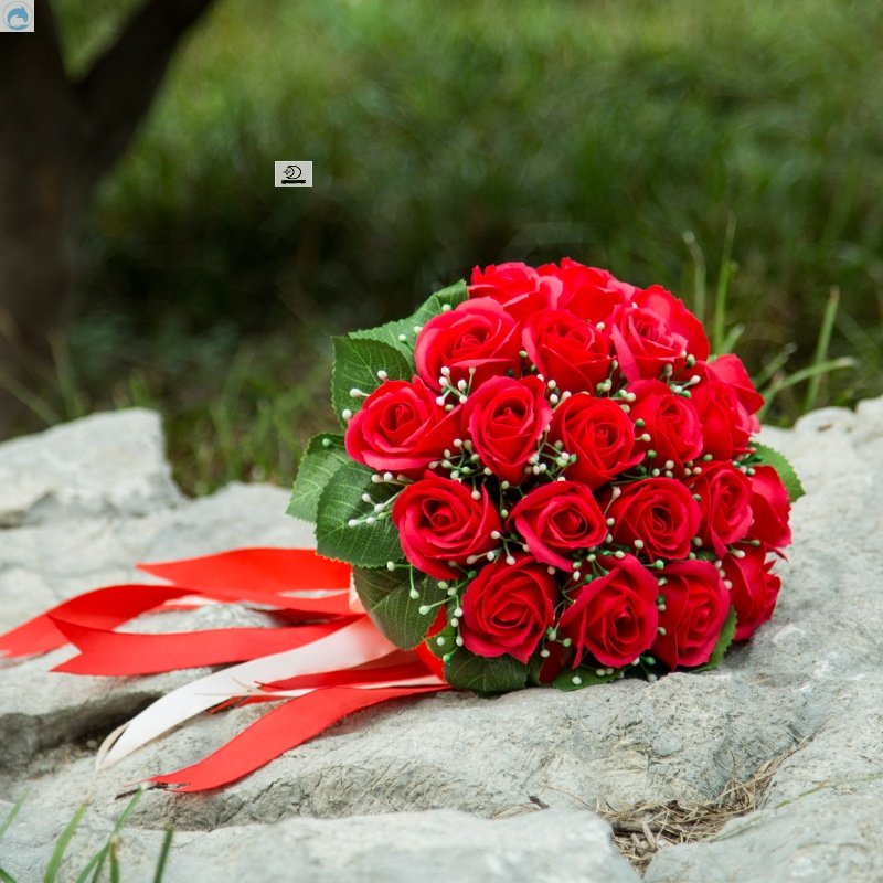 手捧花新娘结婚高档婚礼花束接亲摄影仿真生抖音高端领小道具