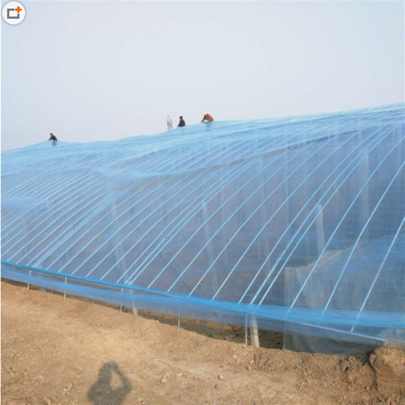 高档大棚膜无滴膜蓝色加厚透明塑料薄膜纸农用养殖蔬菜大棚整ins