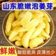 新鲜生姜腌制姜芽山东地方特产生姜嫩芽糖醋嫩姜芽酸甜姜块泡姜