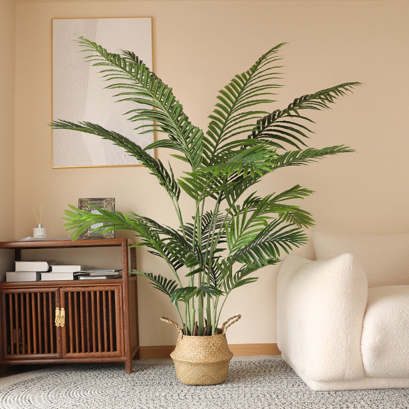 散尾葵大型盆栽客厅落地花卉室内办公室植物凤尾竹好养绿植网红