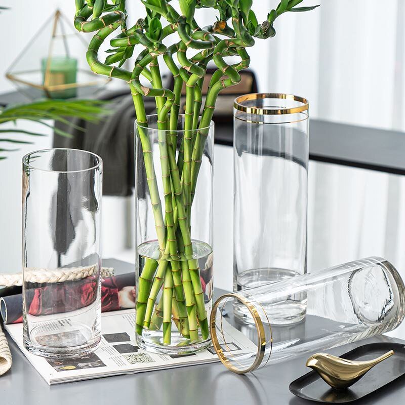 百合花专用玻璃花瓶圆肚水培大口径轻奢高端鲜花插花摆件透明水养