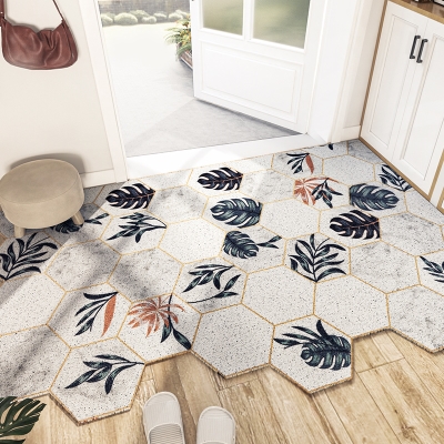 入户门丝圈地垫ins北欧地毯门垫进门家用门厅地毯可裁剪门口地垫