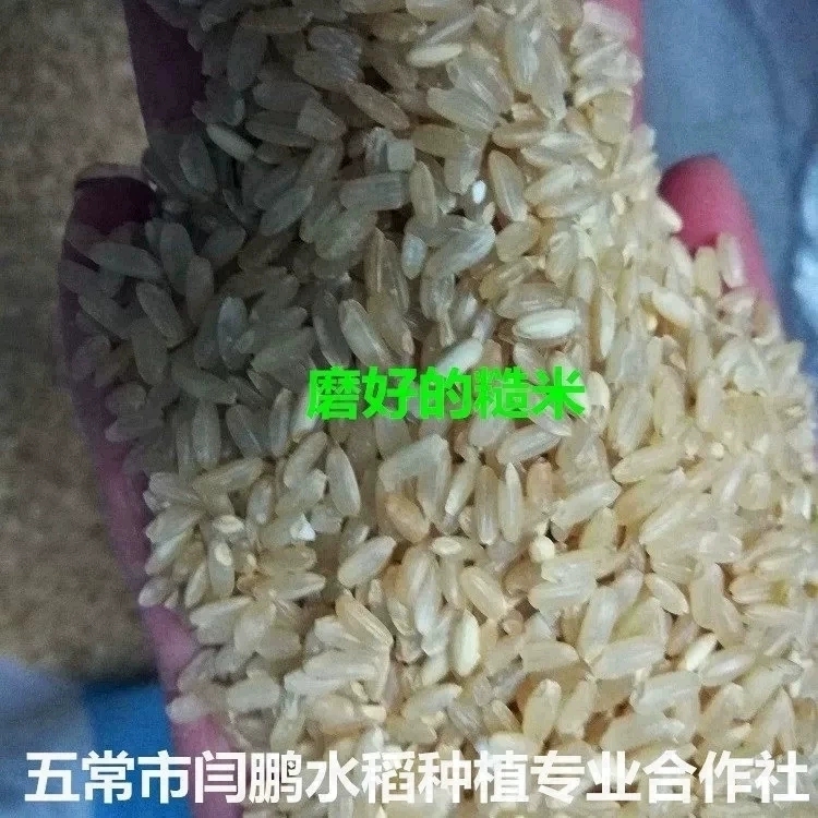 老兵米店 东北黑龙江五常大米小包装糙米500g新粳米稻花香2号
