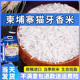 超长粒香猫牙大米2024年新米正宗柬埔寨茉莉香米丝苗米炒饭专用米