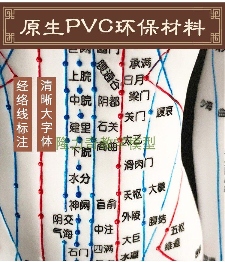 超清晰经络通男女人体模型人体经络模型医铜人针灸穴位模型刻字