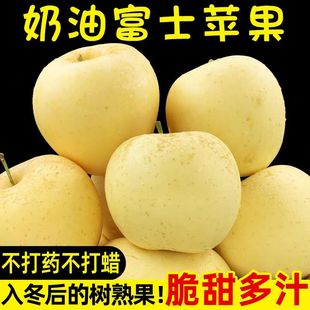 【真现摘现发】烟台正宗奶油富士霜降苹果产地直发