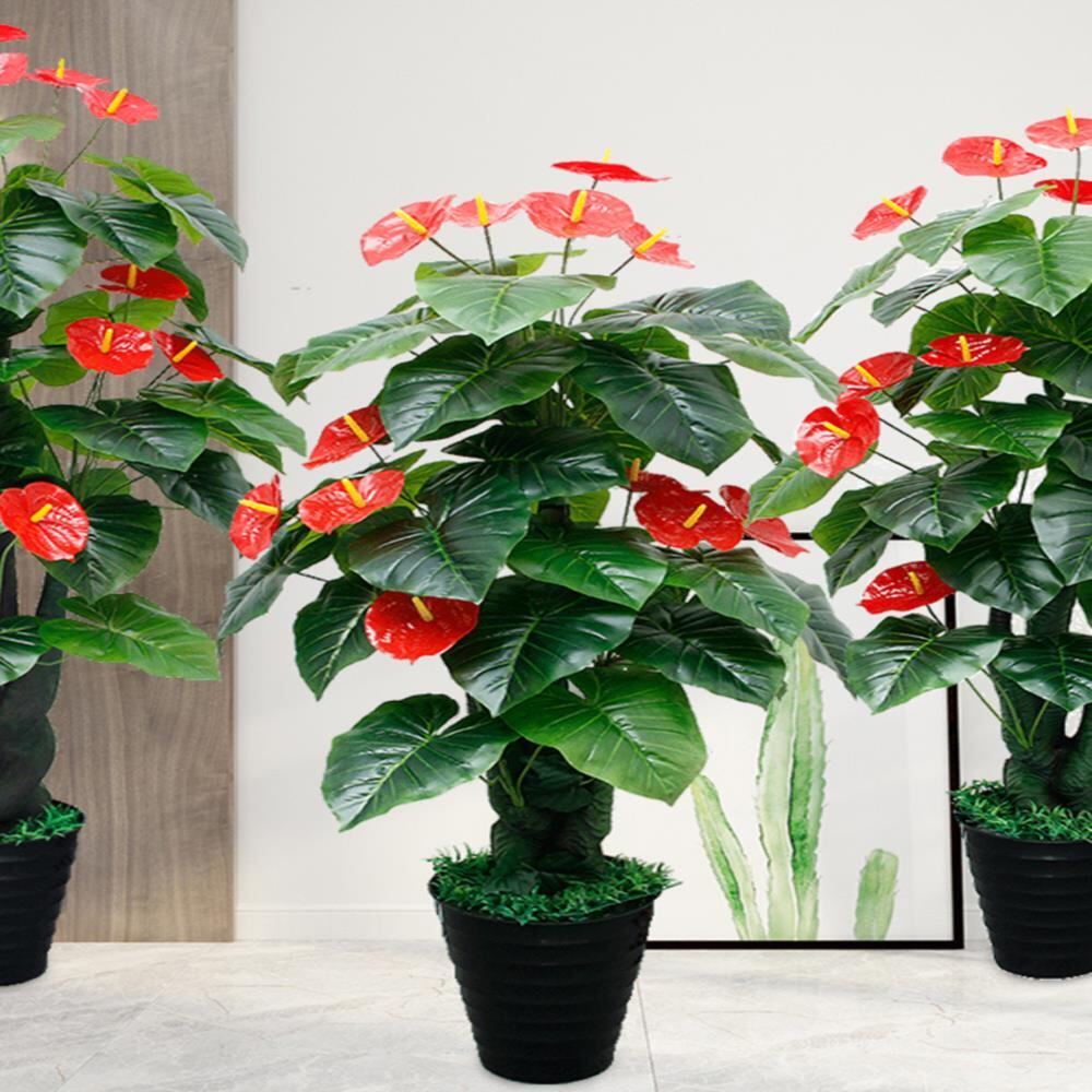 一折发财树盆栽大鸿运当头