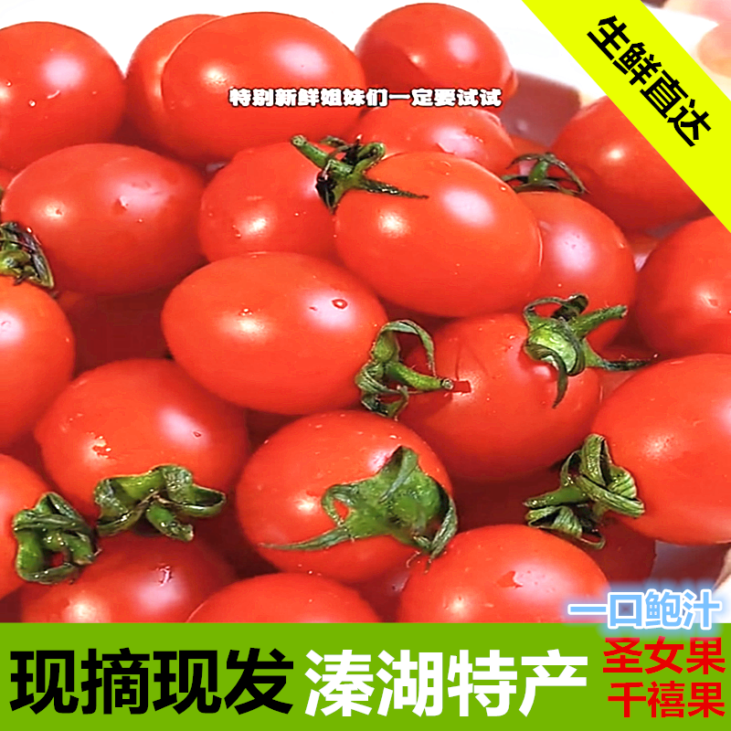 江苏溱湖新鲜千禧圣女果5斤西红柿小