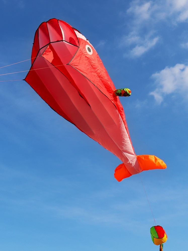 新品超级大风筝软体奇特微风易飞2021新款特大长u尾巴海豚新式高