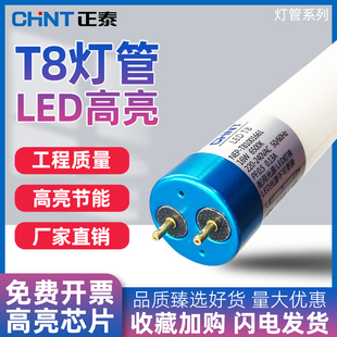 正泰led灯管T8节能省电白光高亮护眼家用地下室日光灯长条灯1.2米