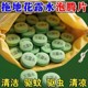 浓缩强效强力拖地专用花露水泡腾片清洁蚊虫家用宿舍酒店驱蚊香水