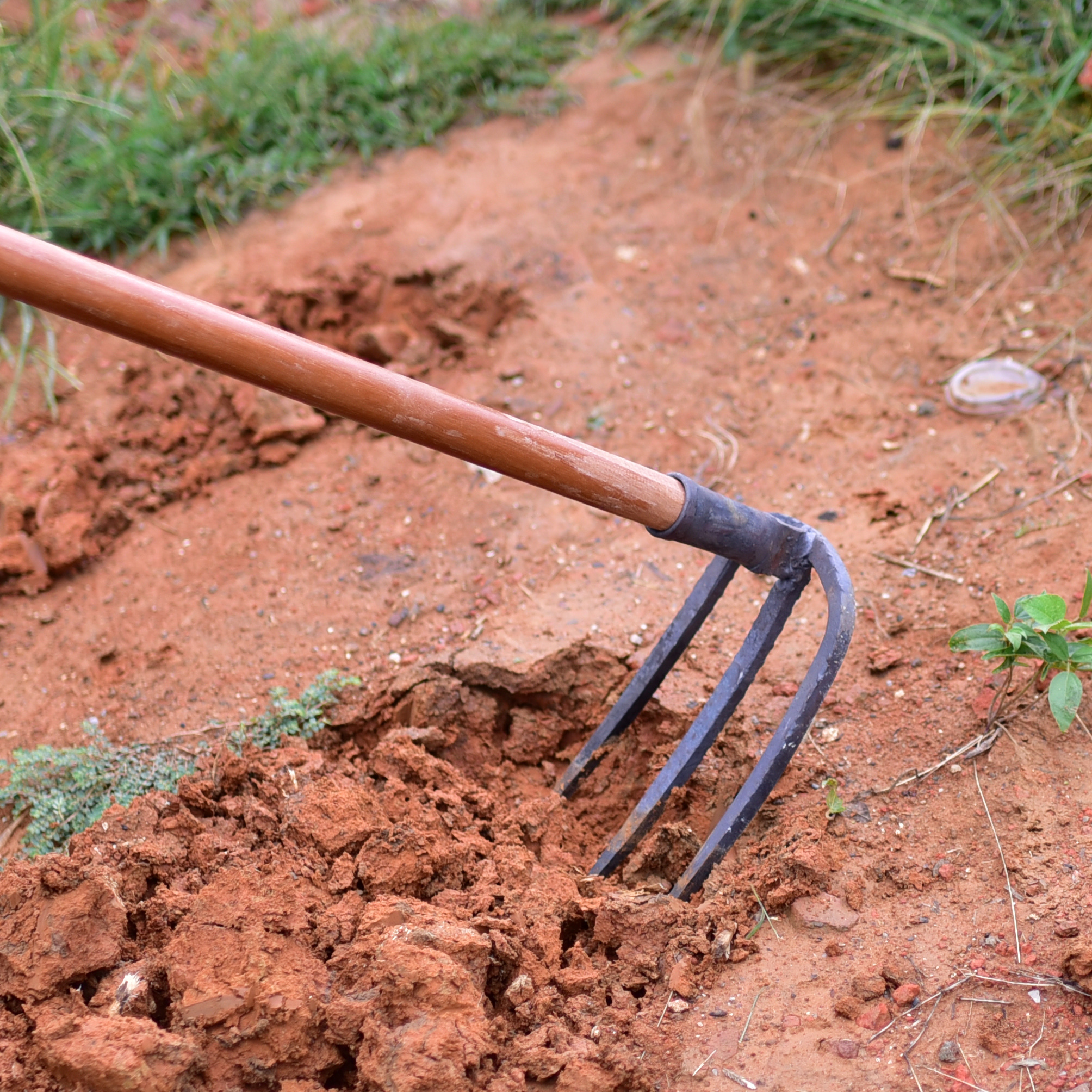 艺锄开荒齿耙子农具小号钉耙除草农用锄地圆松土挖地二翻土多功能