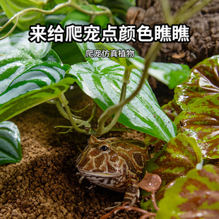 仿真植物爬宠饲养箱造景绿植陆龟蜥蜴变色龙守宫角蛙雨林躲避装饰