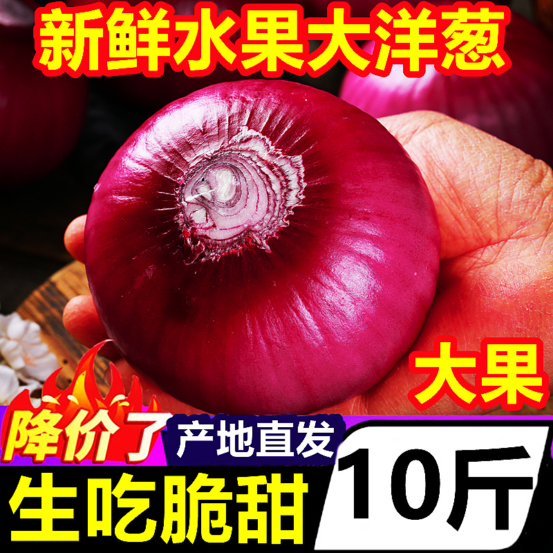 云南水果大洋葱10斤紫皮圆葱元葱洋