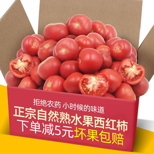 老果农自种阳光水果西红柿5-9斤新鲜自然熟生吃普罗旺斯沙瓤番茄