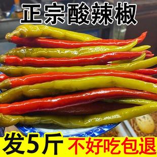 泡海椒5斤装新鲜腌制辣椒酸辣椒酸辣椒二荆条正宗四川泡菜泡椒泡