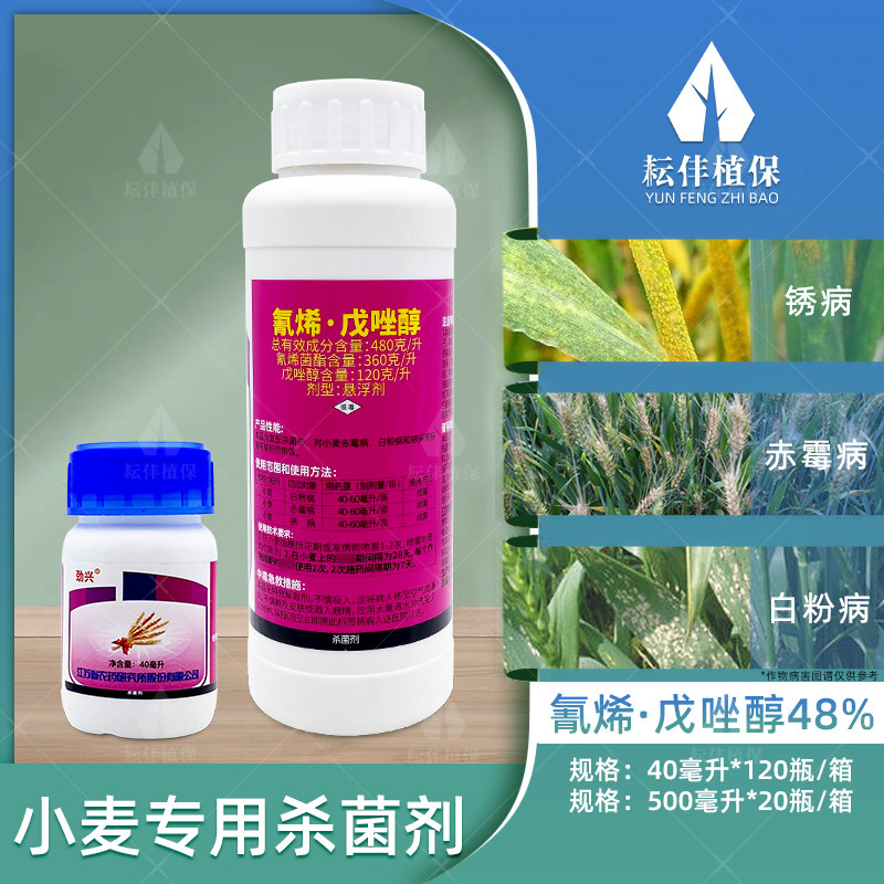 冬薯的功效与作用_冬麦的功效与作用_夏虫冬草的功效与作用