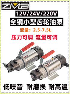 小型直流电机油泵12V/24V220V 齿轮油泵电动摆线泵抽液压油减速机