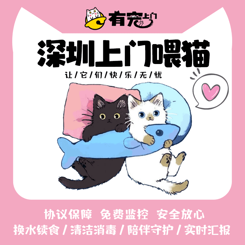 春节上门喂猫 上门喂养 猫咪上门铲屎清洁上门服务春节代替寄养