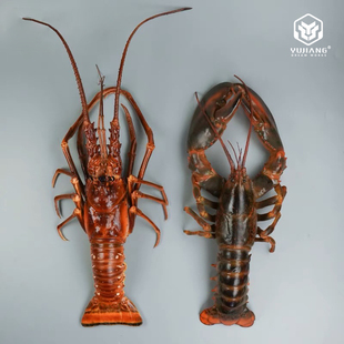 仿真古巴龙虾波士顿龙虾澳洲大龙虾模型假海鲜水产直播道具样品