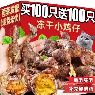 狗狗磨牙棒猫咪零食冻干小鸡仔磨牙洁齿满腹蛋黄含软磷脂肉干咬胶