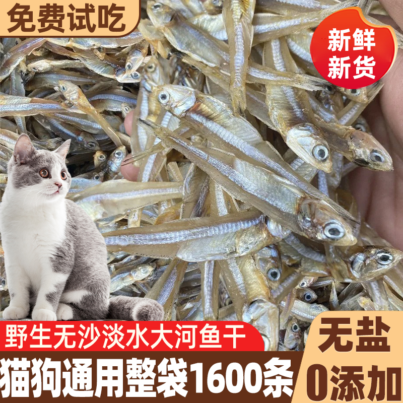 猫咪零食小鱼干宠物冻干多春鱼狗狗主