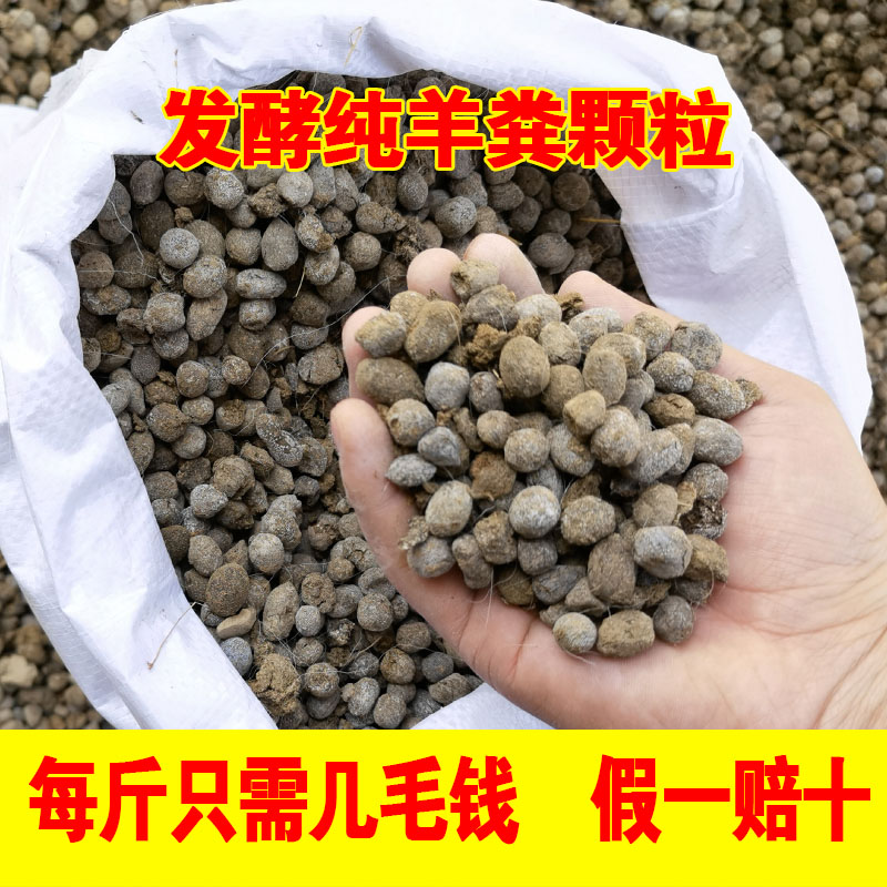 纯羊粪发酵有机肥料原始颗粒羊屎蛋农