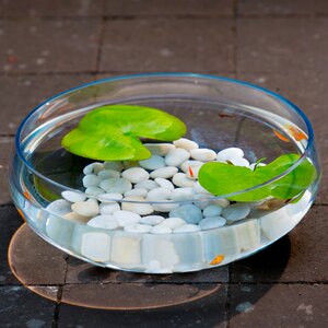 玻璃荷花缸特大图片