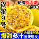 黄金百香果钦蜜9号5斤包邮特大果新鲜现摘孕妇当季整箱广西甜水果