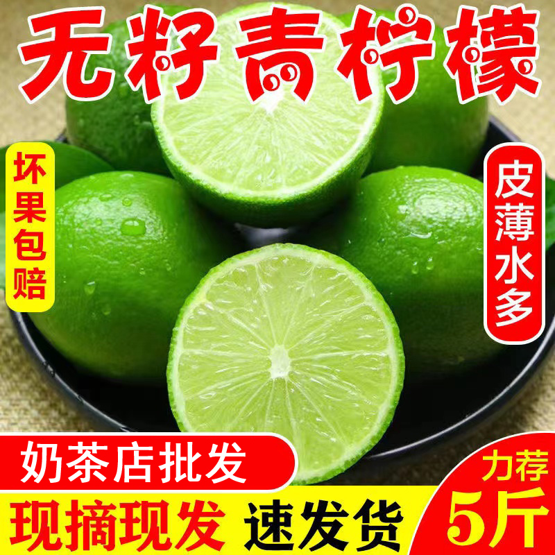 无籽柠檬9斤薄皮香水青柠檬新鲜现摘应当季水果奶茶店专用批发10在类目 水产肉类/新鲜蔬果/熟食, 新鲜水果, 柠檬中 - 来自Buy2taobao.com提供专业的淘宝代购服务