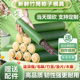 新鲜竹筒粽子模具家用商用夜市摆摊专用包粽子的做竹筒饭端午工具