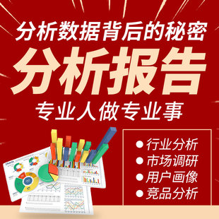 代写行业分析报告市场调查数据可行性研究竞品分析调研报告代做