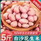 新鲜白沙花生米24年东北农家新货不带壳红粉皮大粒花生仁散装商用