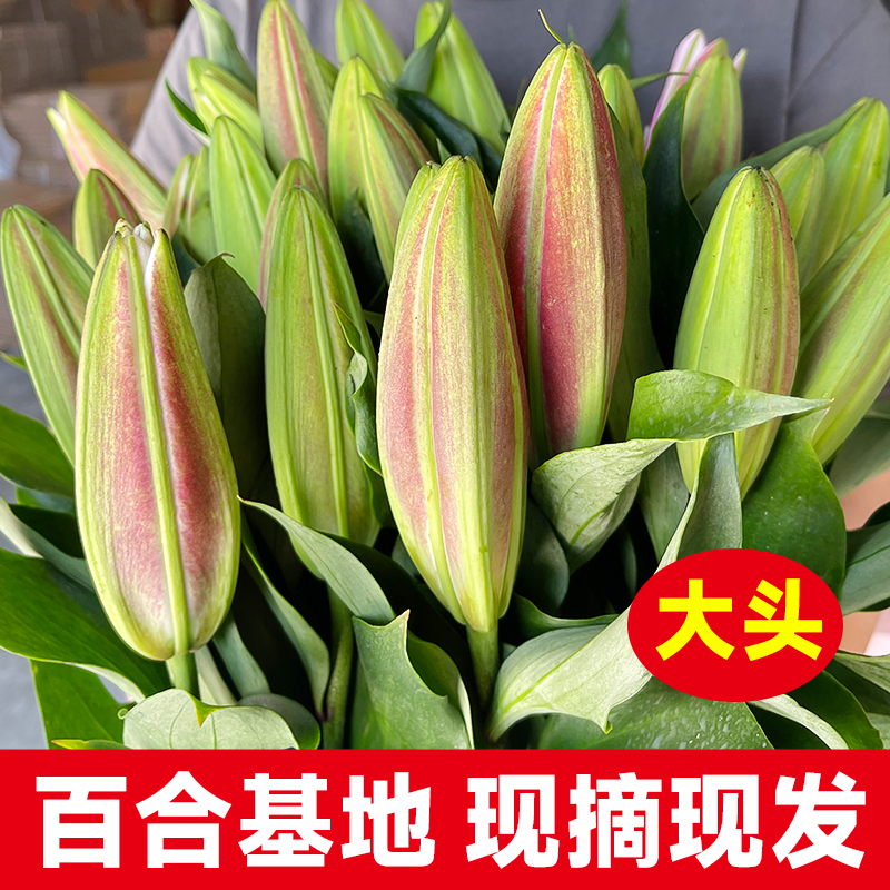 云南鲜花基地直发玫瑰百合花束家庭鲜切花花材直批水养