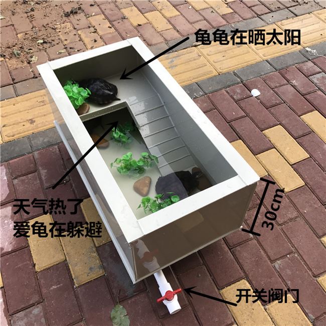 大乌龟池生态缸价格