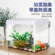 乌龟缸家用客厅饲养箱养巴西龟亚克力透明生态缸鱼缸超白造景水草