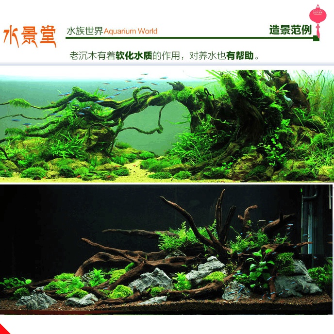 水草缸造景套餐小鱼缸造景优惠券爱比价妈妈