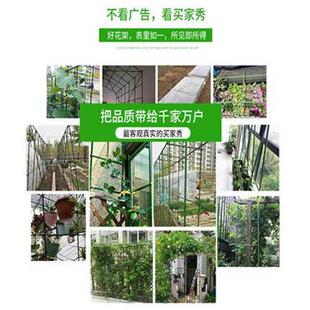 菜园黄瓜爬藤架花架葡萄架子阳台豆角架植物园艺花支架固定支撑杆