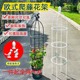 园艺藤本月季植物花卉爬藤支撑架玫瑰盆栽花架绿萝U型花支架支柱