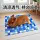 兔子冰垫夏天降温神器仓鼠降温板凉席宠物冰窝兔兔冰凉床空调龙猫