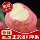 正宗陕西洛川苹果2.25kg装延安红富士脆甜