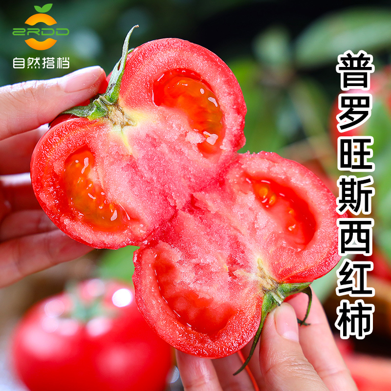 普罗旺斯沙瓤西红柿新鲜水果蔬菜4.