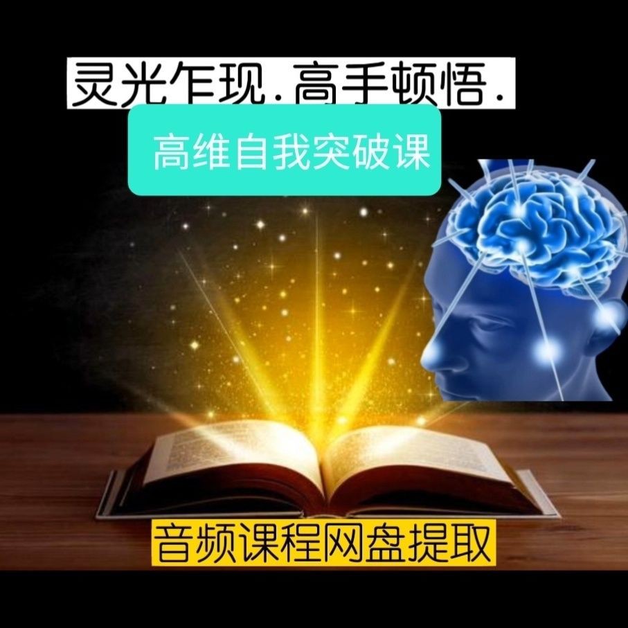 灵光乍现 高手顿悟 高维自我突破课 最新28集音频课程