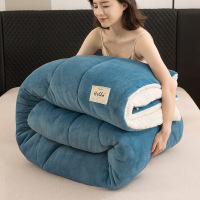 新款纯色牛奶绒加厚冬被双面保暖羊羔绒被芯